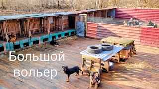 Новые морозилки, большие вольеры и аллергия