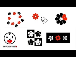 Baby Sensory - Black, White & Red - Flower & Butterfly