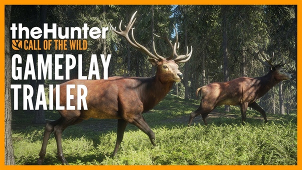the Hunter: Call of the Wild Gameplay