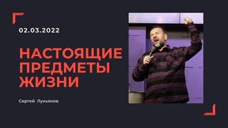 Настоящие предметы жизни - Сергей Лукьянов -