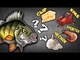 Важен ли Запах и Вкус Приманки При Ловле Хищной Рыбы на Спиннинг Активаторы Клева.