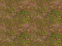 PBR Grass & Soil A80
