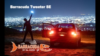 Распаковка рупоров Barracuda Tweeter SE